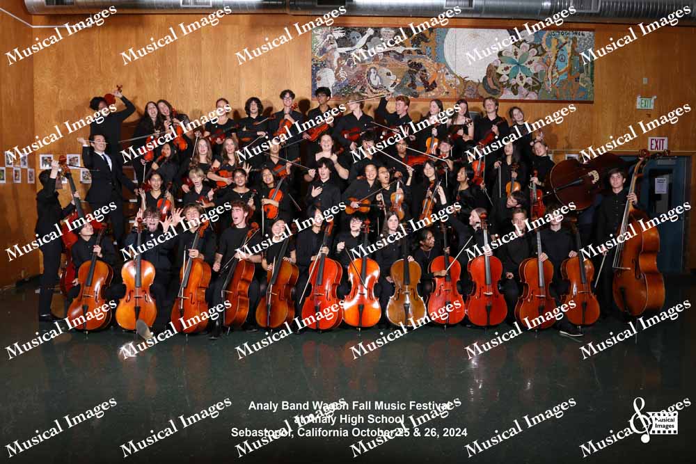 Musical Images